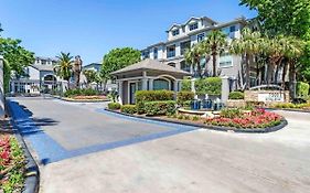 2 Bedroom Easy Access To Med Center, Nrg, Downtown